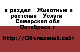  в раздел : Животные и растения » Услуги . Самарская обл.,Октябрьск г.